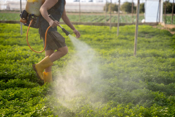 Best Insect Control  in Vilonia, AR