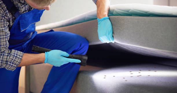 Best Pest Control Near Me in Vilonia, AR