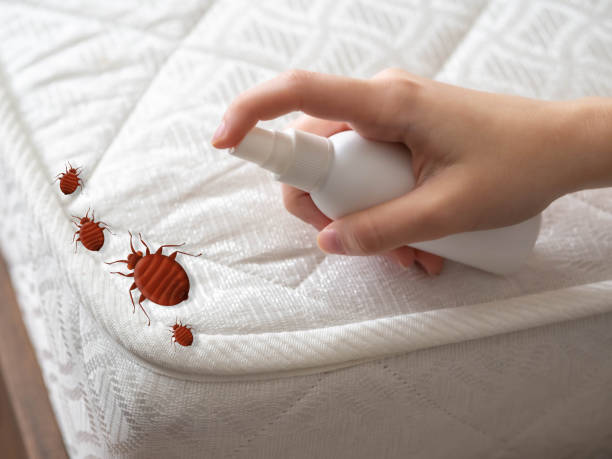 Best Residential Pest Control  in Vilonia, AR